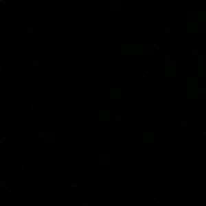 Meet your Posher, Joselyn